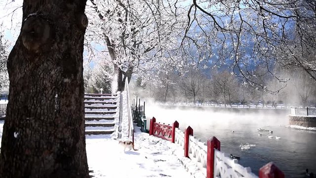 doğada huzur ve terapi etkisi