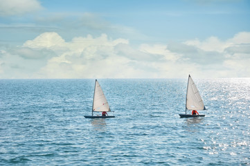 Obraz premium Laser sail boats