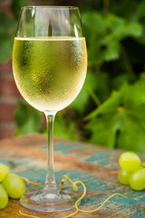 Wine glass with ice cold white wine, outdoor terrace, wine tasting in sunny day, green vineyard garden background.