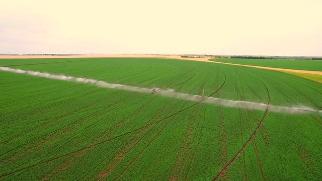Aerial view. System splice watering of fields wheat field, the view from the top. Industrial farming.
