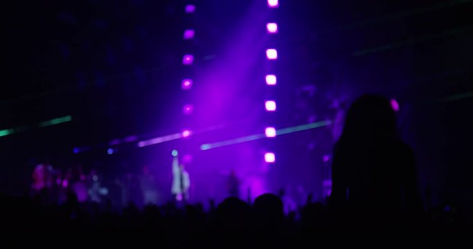 Girl Sitting on Shoulders at Concert in Crowd