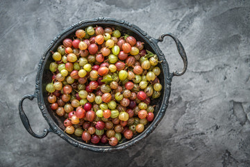 bowl full of fresh ripe gooseberries, copyspace, topview