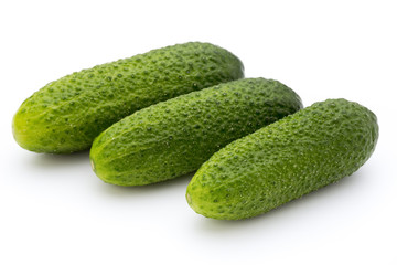 The first spring ecologically cucumbers.