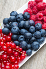 Fresh blueberries and red currant.