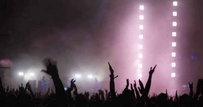 Hands Clapping at Music Festival