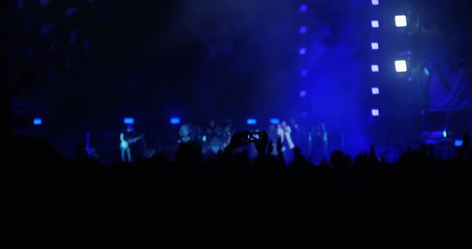 Jumping Crowd at Concert