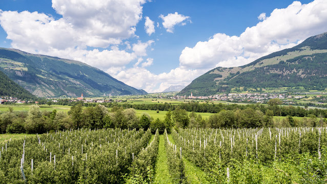 Italien - Vinschgau