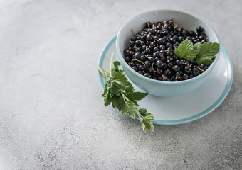 ripe black berries, rustic dishware, copyspace