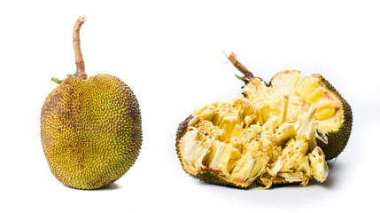 Whole jackfruit isolated on white background