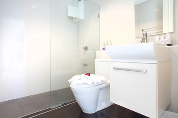 interior design and house decoration 