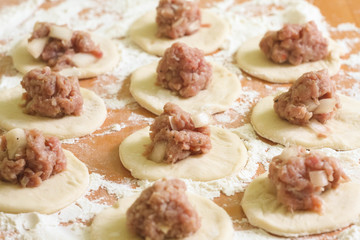 Dumplings with meat