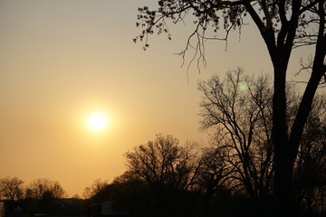 Fototapeta na wymiar Spring Sunset with Trees