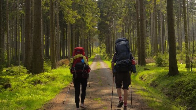 hiking couple: two hikers (man and woman) walking together on the trail with backpacks, european woodlands, czechia
