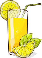 A glass of lemonade with pieces of lemon. Vector drawing.