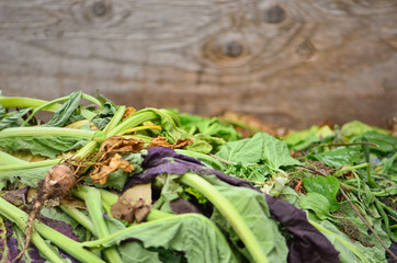 vegetable compost