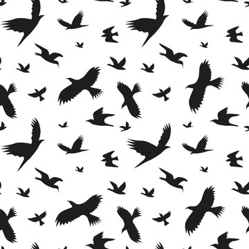 Silhouette Black Fly Birds Background Pattern. Vector