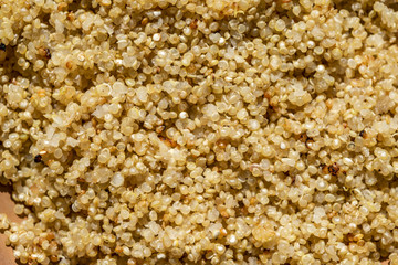 Cooked quinoa grains