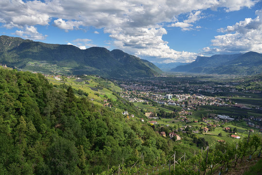 Blick auf Meran und das Etschtal