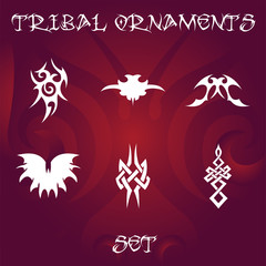 Obraz premium Design elements for vector tribal ornaments