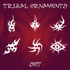Obraz premium Design elements for vector tribal ornaments