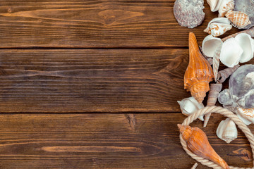 Seashells border on wood. Marine background