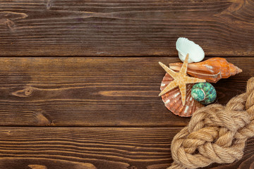 Seashells border on wood. Marine background