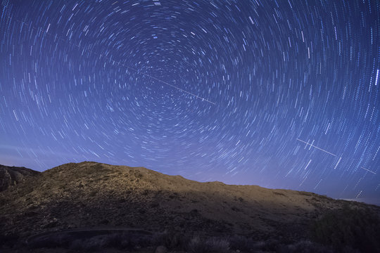 Star Trails Over Joshua Tree