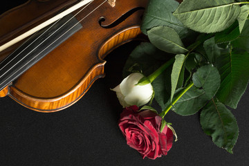 Violin and rose on black background.