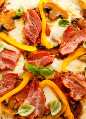 Pizza on white background 