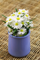 Daisy flowers in blue vase on wicker surface with copy space
