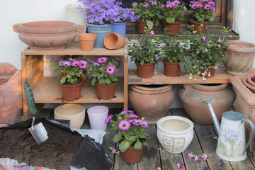 Blumen Töpfe beim bepflanzen im Garten