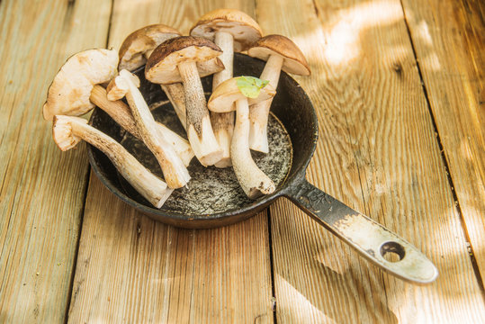 fresh whole mushrooms, oil and a frying pan, food
