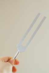 tuning fork  .
