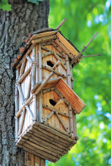 DIY, creative hand made wooden bird house hanging on the tree in a park