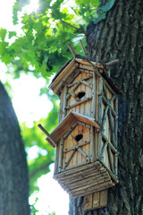 DIY, creative hand made wooden bird house hanging on the tree in a park