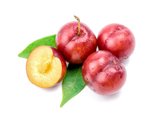Red plum fruit