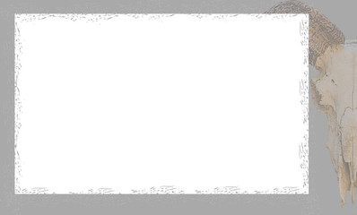 White sheet of paper lies horizontally on a background image of a skull of an animal ram in the right corner