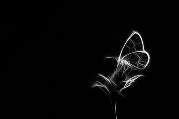Abstract Butterfly © Marc Andreu