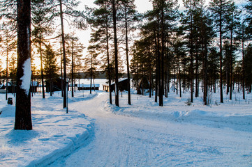snowy road with cross country ski tracks
