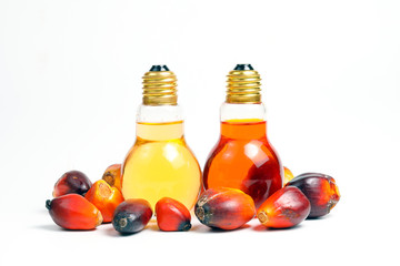 Oil Palm Fruit bulb bottle