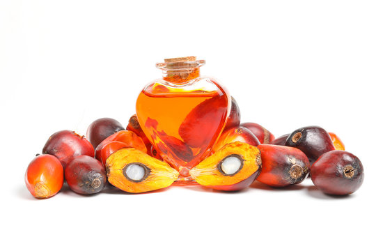 Oil Palm Fruit bulb bottle