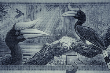 The five Ringgit Malaysia (MYR)  denomination shoot close up on dual tone colours