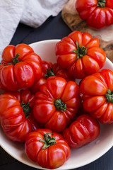 Fresh bio tomatoes harvesting, organic vegetables freshly picked from garden