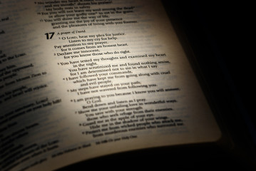 Psalm 17 in the Bible