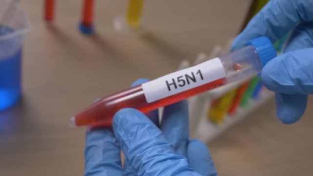 Scientist holding a H5N1 test tube filled with a red substance. Filmed in a lab environment. Closeup on the tube.