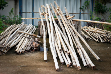 Pile of wood chips are placed on the floor