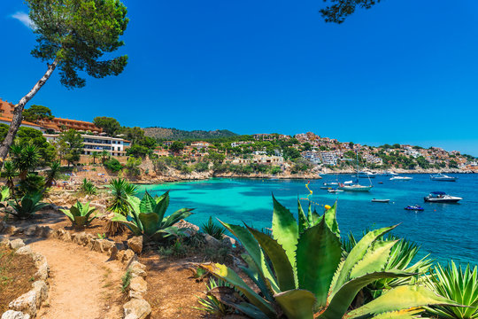 Beautiful bay with boats, Majorca Cala Fornells, Spain Mediterranean Sea