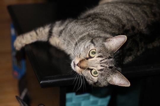 เลือกดูภาพถ่ายสต็อก เวกเตอร์ และวิดีโอ574 Adobe Stock