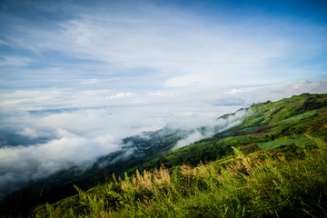 Sea of mist, The National Park in Thailand