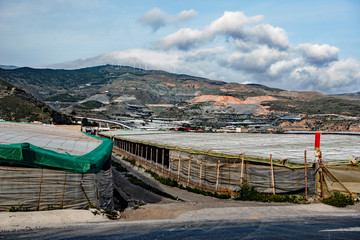 Gew&auml;chsh&auml;user und Landschaft